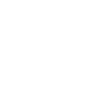 ООО «Ирбис»